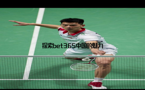 探索bet365中国的魅力